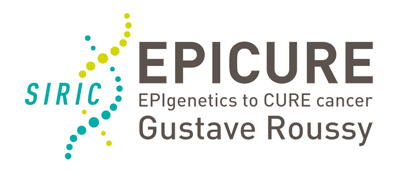 Logo gustave roussy optimise